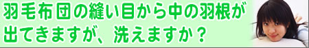 �H�ѕz�c�̖D���ڂ��璆�̉H���o�Ă��Ă��܂��܂����A�����������z�c���􂦂܂����H