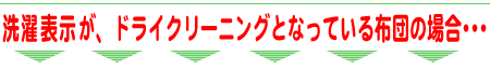 �h���C�N���[�j���O�\���̕z�c��
